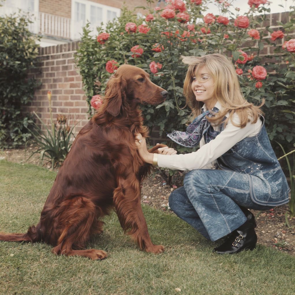 DECOS HIPPOCRATES tweet media