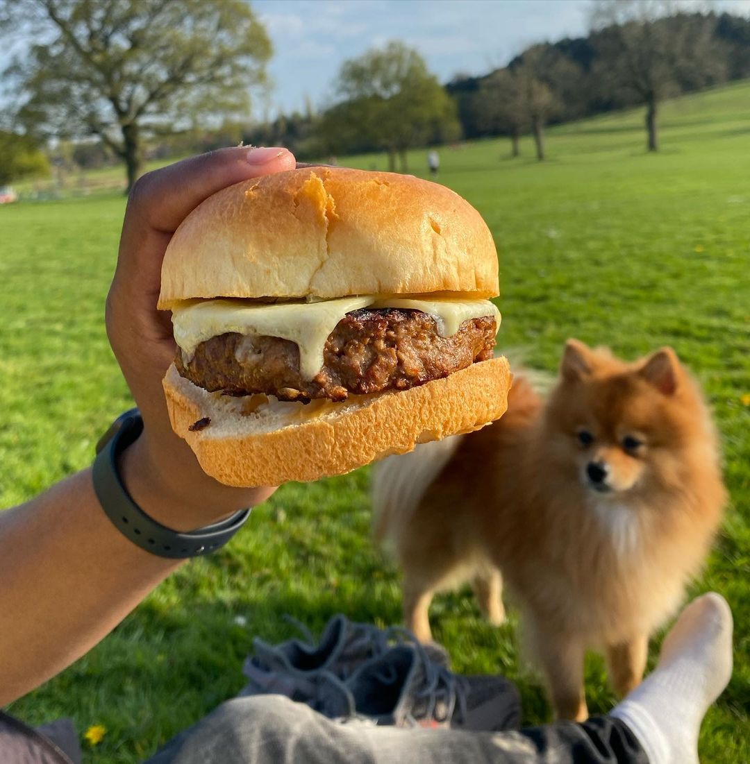 Can you think of a summer day more perfect than this?

When the sunshine hits, we’ll be eating Linda’s veggie burgers in the nearest green space with our best four-legged friend, just like Instagram’s lua_nak and bentleythepomdog 🍔🐕