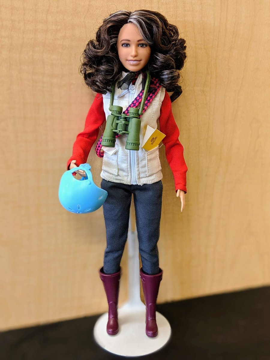 UUtah's tweet photo. This Barbie is a forest ecologist. 

In 2019, #UofU professor @NaliniNadkarni worked with @NatGeo &amp; @Mattel to create a line of Barbies centered around exploration, science, conservation &amp; research. #BarbieMovie 

📰 https://t.co/5cDPUmPLD9 https://t.co/I326LELQRy