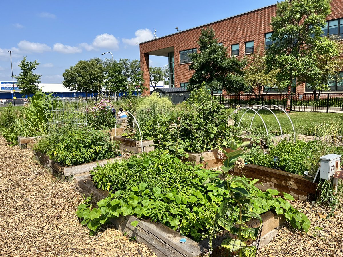 MsWelshNGHS's tweet photo. @NorthGrandHS garden has gone through quite the transformation in the last year. Vegetable, herbs, and even fruits are thriving in the space students have created. #studentcentered #urbangarden https://t.co/41xHmjFN4C