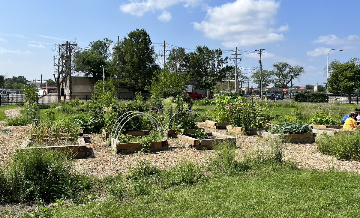 MsWelshNGHS's tweet photo. @NorthGrandHS garden has gone through quite the transformation in the last year. Vegetable, herbs, and even fruits are thriving in the space students have created. #studentcentered #urbangarden https://t.co/41xHmjFN4C