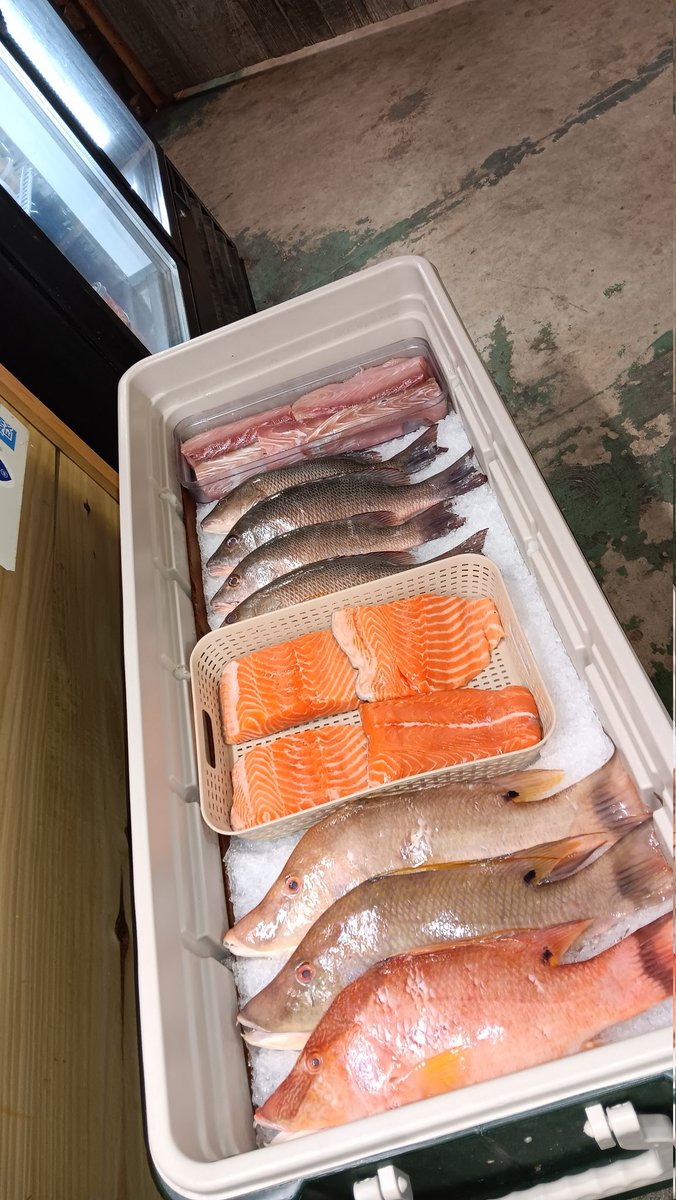 Fresh selection of seafood just in 😎
Hog Fish 
Mangrove Snapper 
Yellowtail Snapper 
Grouper 
Yellowfin Tuna 
Mahi Mahi 
Salmon
Wahoo

Snapper Mike's
(754) 235-1127 g.co/kgs/Dg1HRw

#SnapperMikes #seafoodlover #snappermikesfreshcatch #freshestfishinbroward