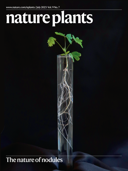Exciting to see our recent paper 🔽 with @CyrilLibourel @KellerJean_Phd and @LIPME_SYMEVOL on the evolution of nodulation making the cover of @NaturePlants ! nature.com/articles/s4147…