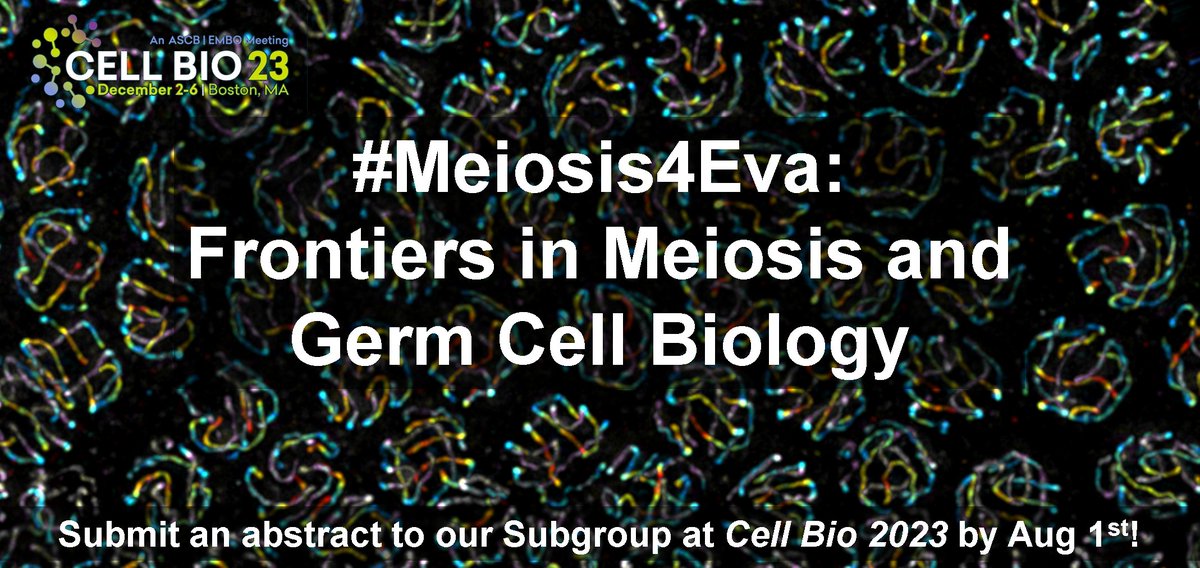 Chenshu Liu (@chenshuliu) on Twitter photo Interested in all things meiosis and germ cell biology? Join our subgroup ā#Meiosis4Eva: Frontiers in Meiosis and Germ Cell Biologyā co-organized by <a href="/NeedhiBhalla/">Needhi Bhalla š
š½</a> <a href="/LacefieldLab/">Soni Lacefield</a> and me at #CellBio2023! Submit an abstract by Aug 1 to give a talk! ascb.org/cellbio2023/ab⦠Interested in all things meiosis and germ cell biology? Join our subgroup ā#Meiosis4Eva: Frontiers in Meiosis and Germ Cell Biologyā co-organized by <a href="/NeedhiBhalla/">Needhi Bhalla š
š½</a> <a href="/LacefieldLab/">Soni Lacefield</a> and me at #CellBio2023! Submit an abstract by Aug 1 to give a talk! ascb.org/cellbio2023/abā¦