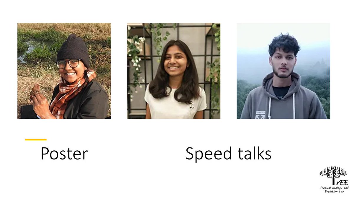 TrEE Lab tweet media