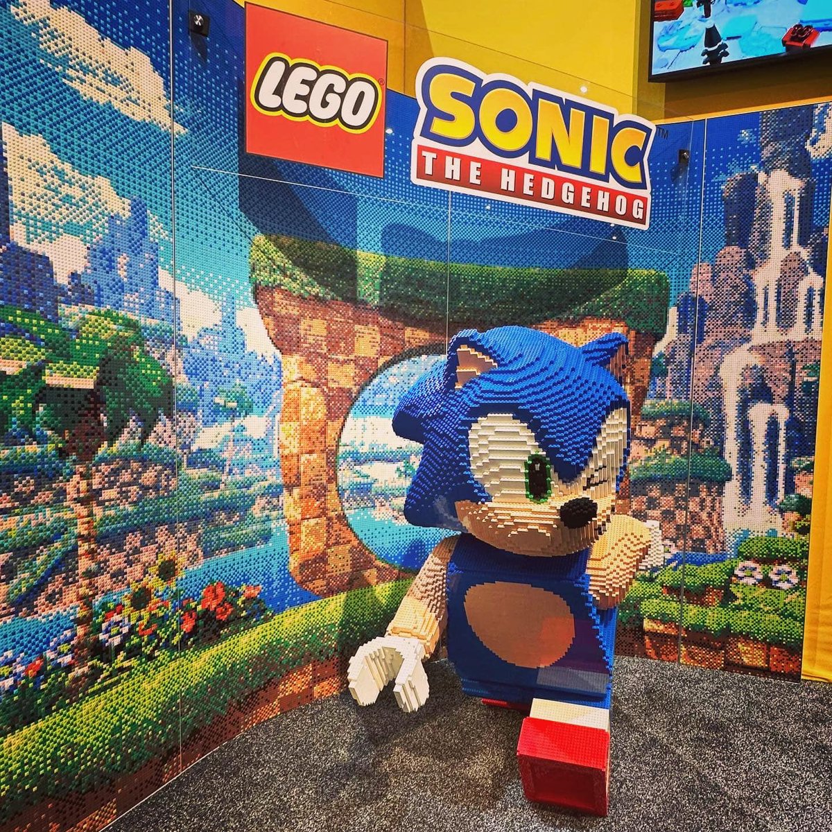 Get LEGO® Sonic Skin - Microsoft Store en-IL