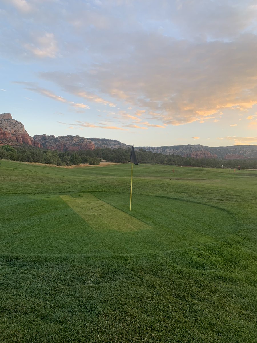 Em Casey tweet media