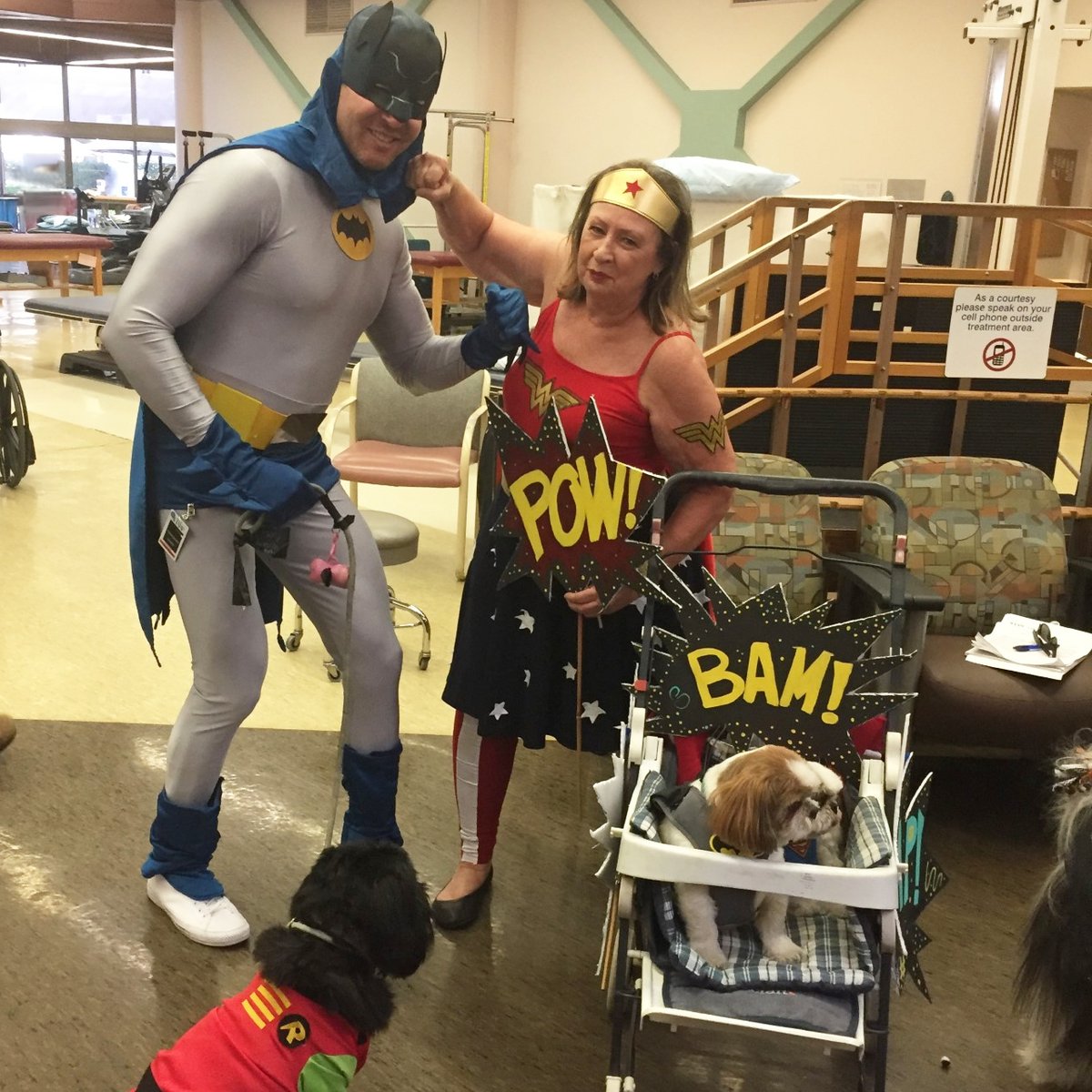 sharphealthcare's tweet photo. As #comiccon kicks off in our sunny city, we're throwing it back to these "pawsome" therapy pets and their people, at Sharp Grossmont Hospital. Sharp's volunteer program is full of superheroes just like these. Interested in being a part of it? Visit https://t.co/3cMcMzT0gk. https://t.co/7oNhc9qlEI