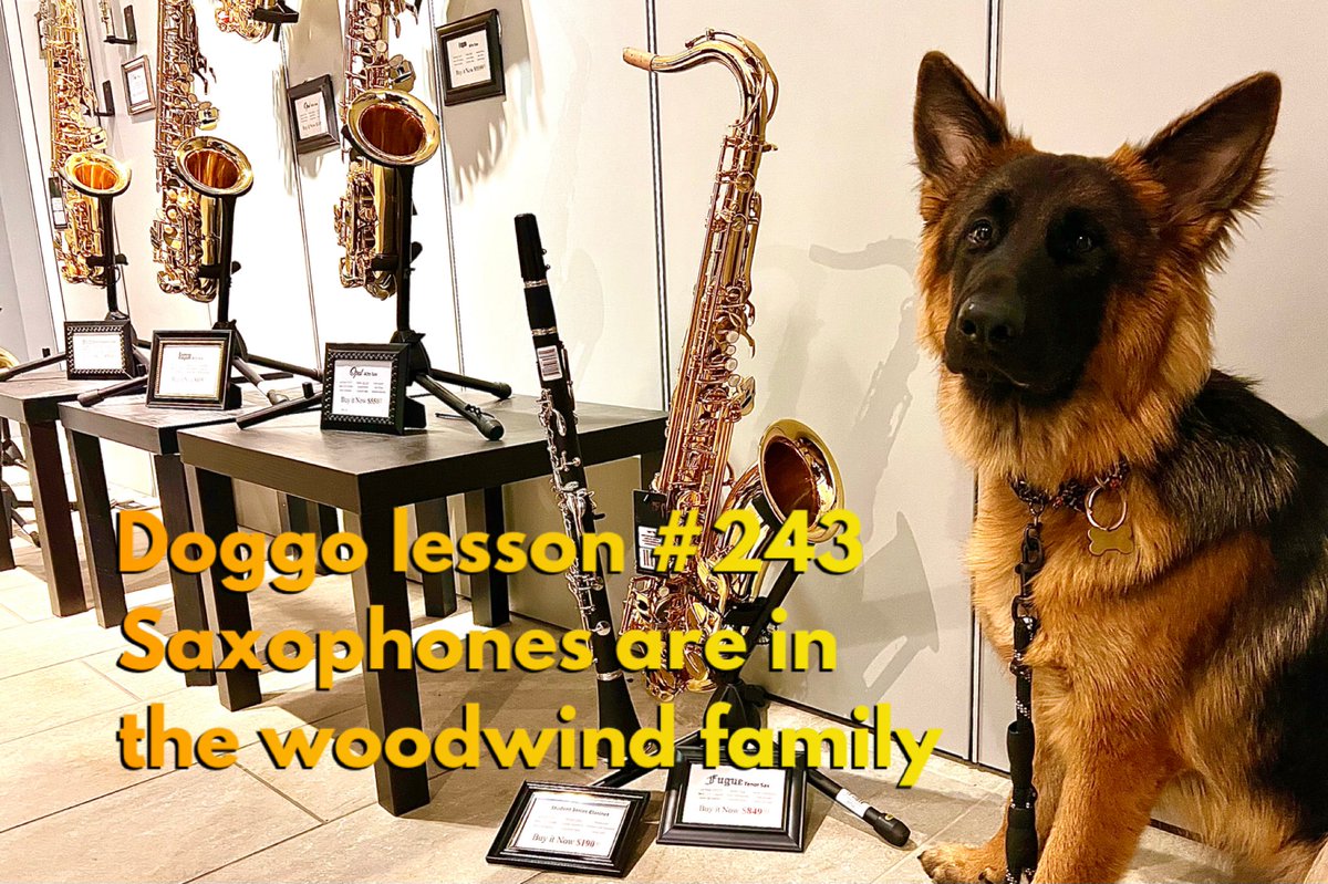 PrinceMusicCo's tweet photo. Even though the are made of brass … https://t.co/9rMEqCHkyt