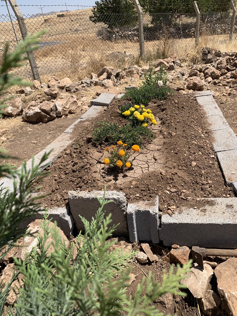 MaridinGulav's tweet photo. İlk kez “Cennet anaların ayağı altındadır” hadisin icabı ile #merhume #Anne min mezarını paylaşıyorum…
Allah kimseyi Annesiz büyütmesin…
Cara ewwil ez mezeleyê #Diya xwe parve dikim…
Xwedê kesê bê Dê mezin neke… https://t.co/mr1MjlQH2b