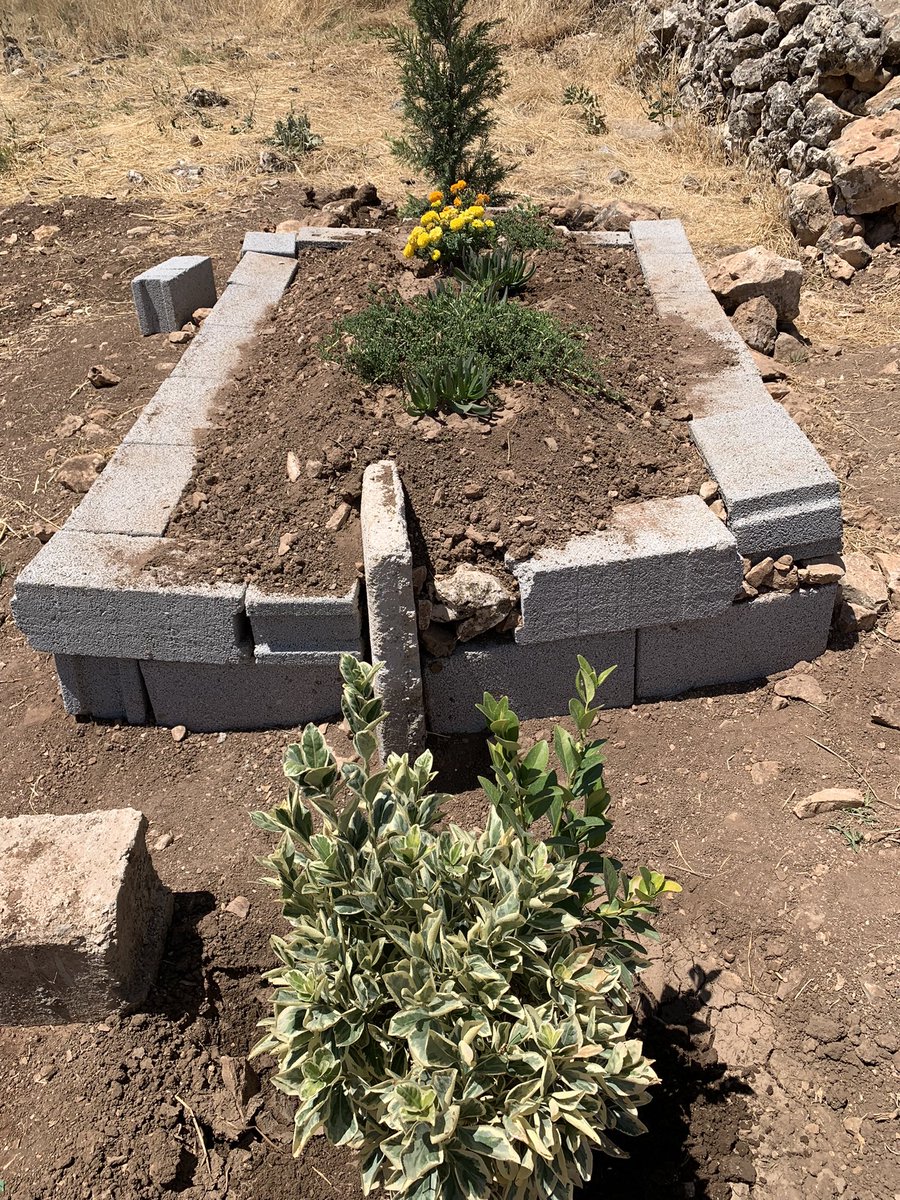 MaridinGulav's tweet photo. İlk kez “Cennet anaların ayağı altındadır” hadisin icabı ile #merhume #Anne min mezarını paylaşıyorum…
Allah kimseyi Annesiz büyütmesin…
Cara ewwil ez mezeleyê #Diya xwe parve dikim…
Xwedê kesê bê Dê mezin neke… https://t.co/mr1MjlQH2b