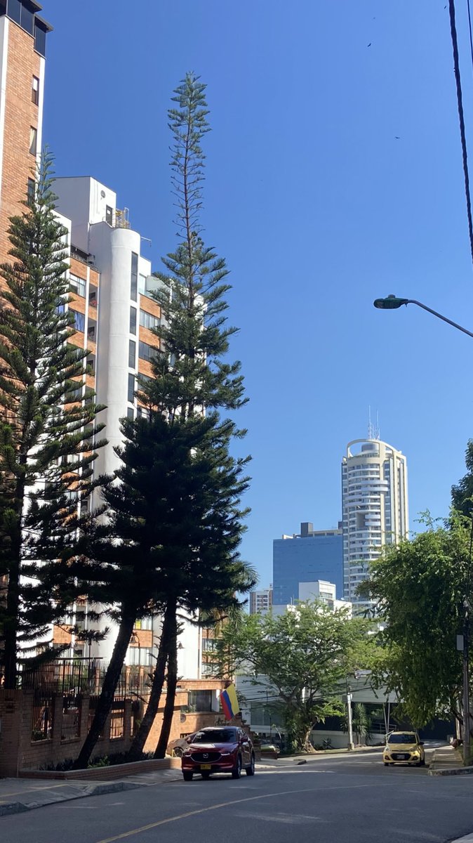 AnyiCastroG's tweet photo. Ciudad bonita #Bucaramanga #20JPorLaSoberania https://t.co/P2mOn340lD