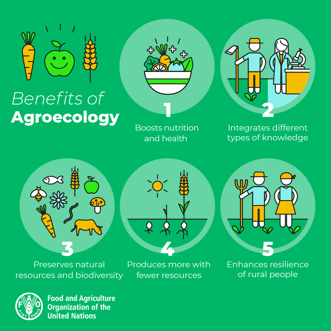 Agroecology can help 👇

🌱Build resilient livelihoods
🌱Safeguard biodiversity
🌱Boost nutrition
🌱Sustainably manage the planet’s natural resources
🌱Respond to climate change

Learn how 👉bit.ly/38xjLI0

#UNFSS2023