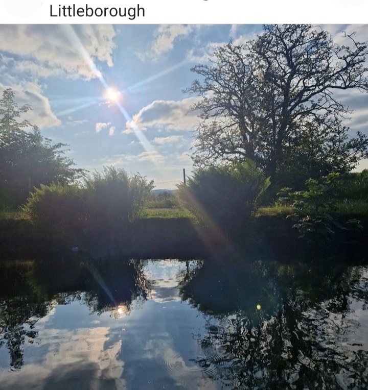 WalkAndTalkKirkholt (@wkirkholt) on Twitter photo 