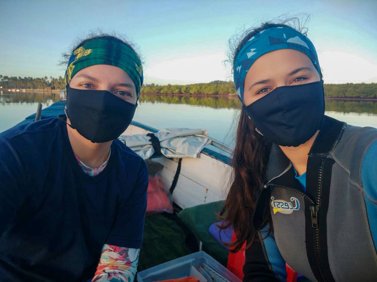 thePeerJ's tweet photo. PeerJ spoke to Anna Karolina Martins Borges about the recently published @PeerJLife article - Mapping #seahorses in a Brazilian estuary. The article was published as part of the IABO Hub.
Read more https://t.co/vOIzNjrzKi
@annakborges #IABOHub #IABO https://t.co/FORJxWfvUt