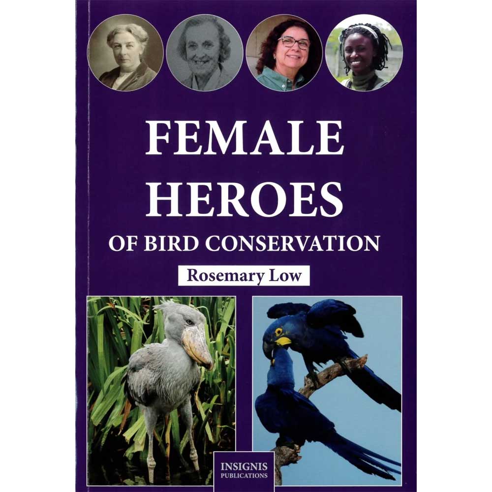 ButeoBooks's tweet photo. Female Heroes of Bird Conservation by Rosemary Low, reviewed in @BirdingMagazine, describes the work of over 30 women scientists, authors, wildlife rehabilitators, and conservation leaders: https://t.co/34NZhTyr81 
Get it at https://t.co/nzMjv90671
#birdconservation #birds https://t.co/mqTzipOMjg