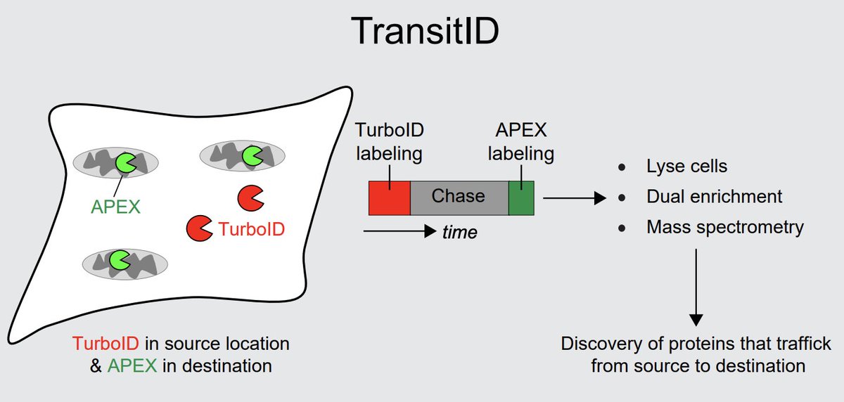 Yvon Jaillais tweet media