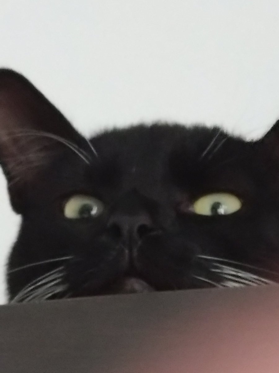 TheLocalSperg's tweet photo. Got games on your phone? https://t.co/sze7fybOUG