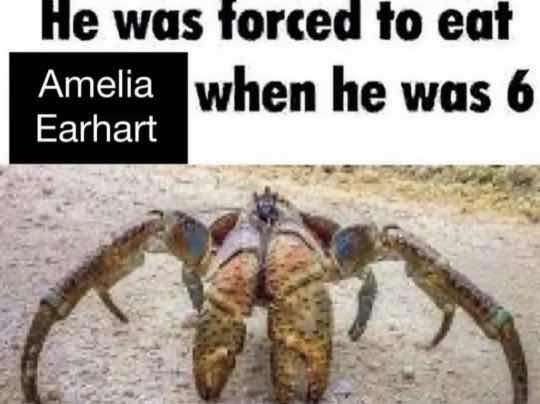 ShitpostGate's tweet photo. https://t.co/SY0MM7IHrZ