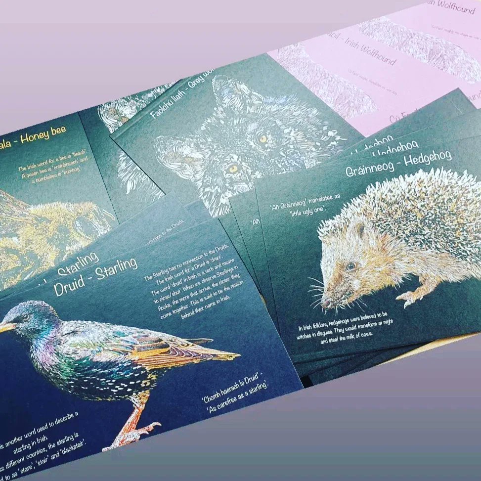 etsy.com/shop/wildirela…
6 x 4 prints, €12, available through my Etsy shop. Grá mór a chairde 🍀🌱 (10% goes to the Gaelic Woodland Project)
 #gaeilge #irish #Ireland #language #art #irishart #wildlife #gaeilge4all