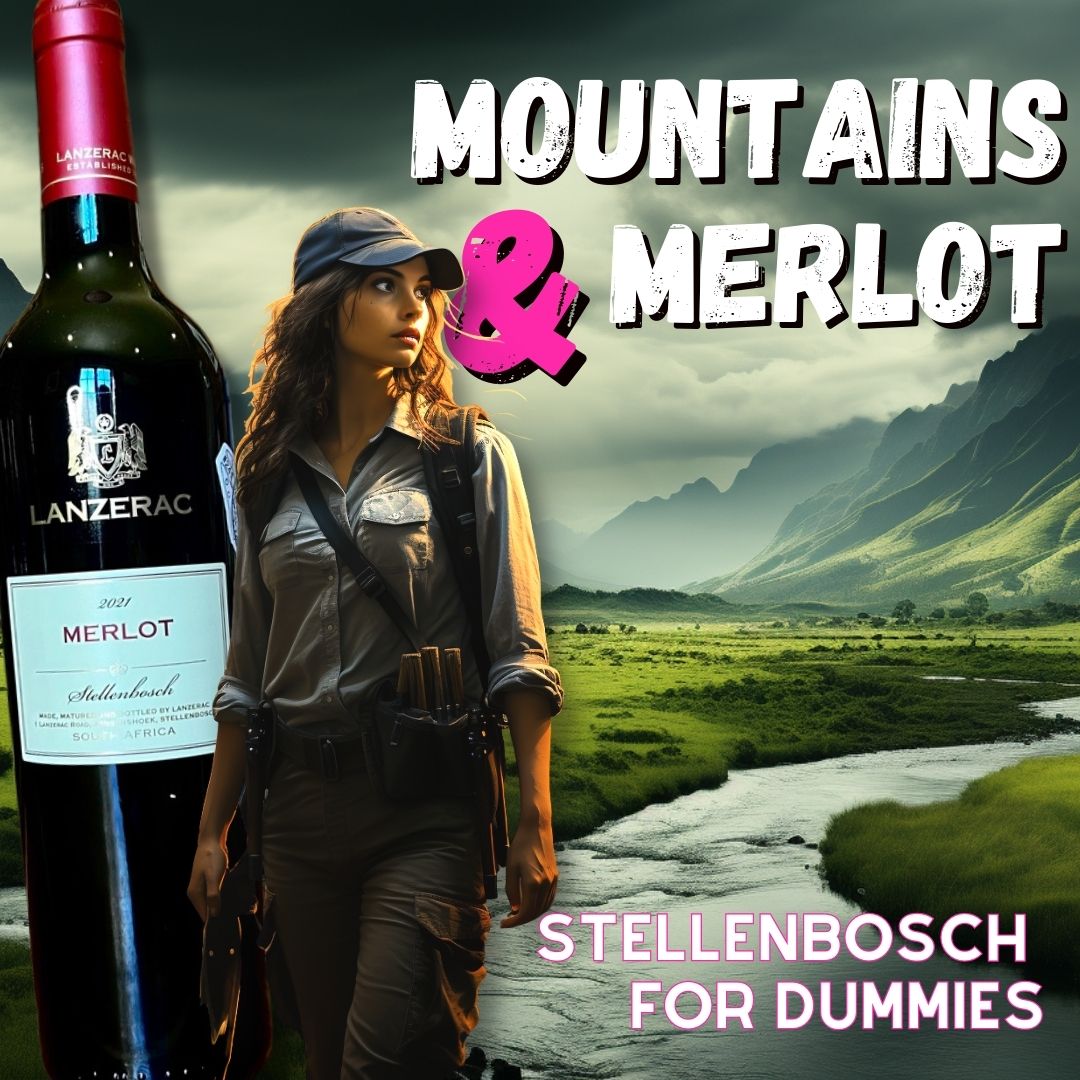 In the wake of last year's Merlot Top10 Comp, I covered what I deem to be a classic rendition of Stellenbosch Merlot.

I lay out an easy visual guide to Stellenbosch's complex topography &amp; touch on some Stellies Wine History, too.

handrinkssolo.com/2022/12/05/lan…
