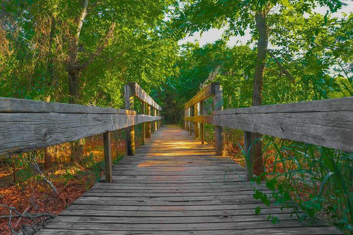 abilenesp's tweet image. We're taking a break from Twitter.  You can find us on:

Facebook: facebook.com/abilenestatepa…

Instagram: instagram.com/abilenestatepa…

Website: tpwd.texas.gov/state-parks/ab…