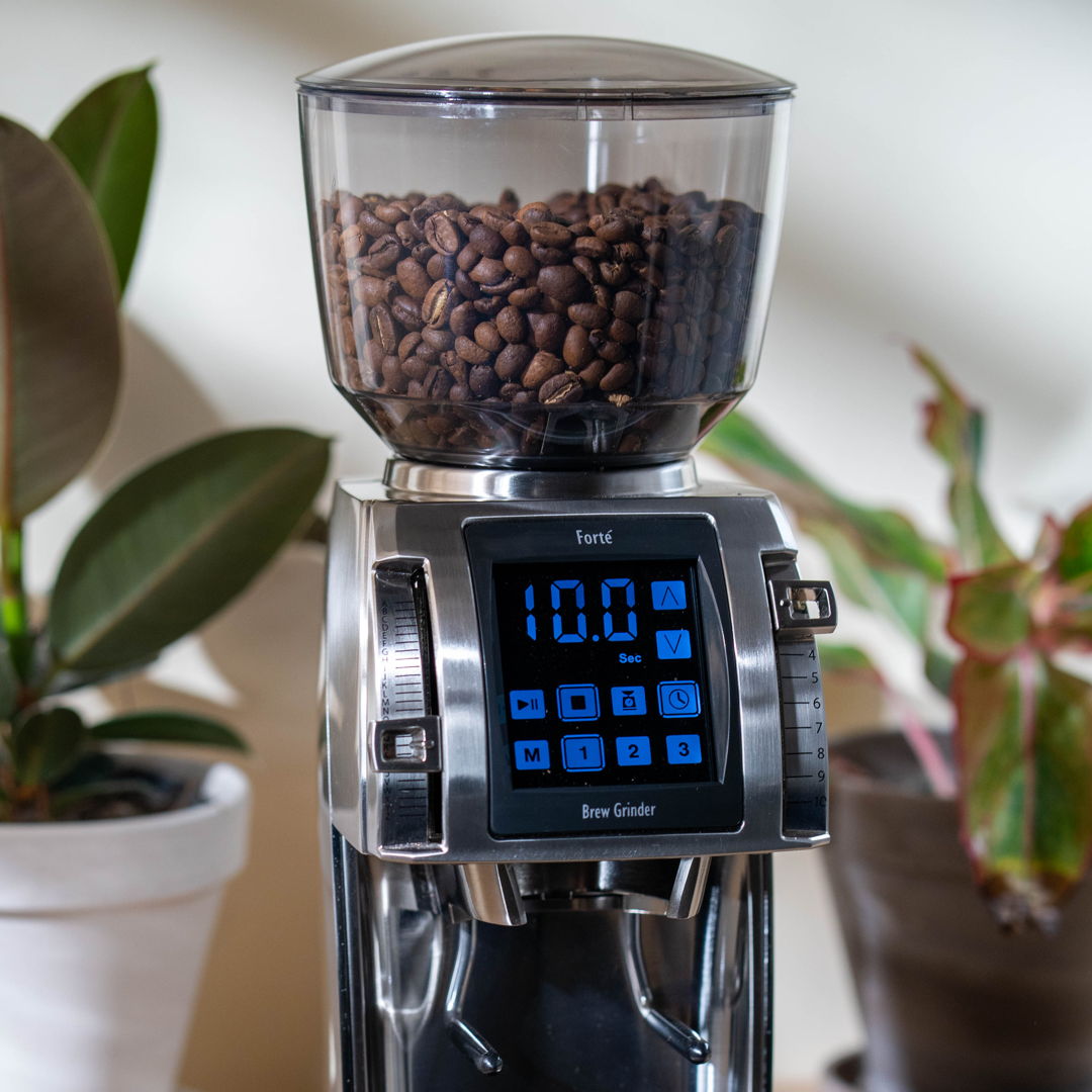 Baratza Forte BG Coffee Grinder - Certified Refurbished