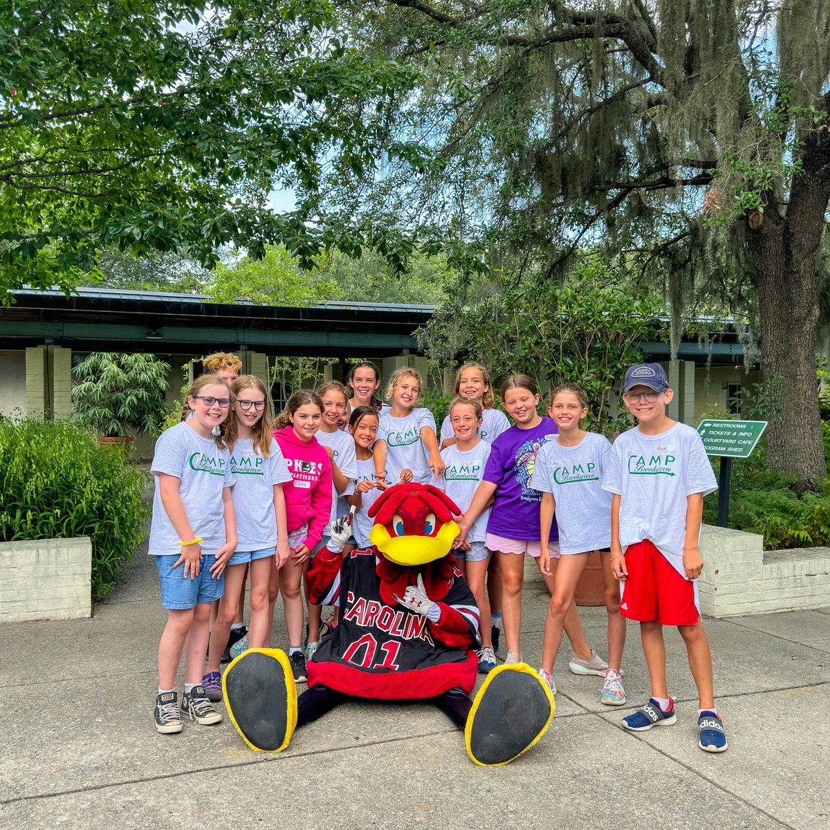 Camp Brookgreen got a visit from a true legend! We welcomed Cocky, the extraordinary University of South Carolina mascot, into #BrookgreenGardens this week! Thanks for stopping by, @Cocky2001! #EverchangingSimplyAmazing @GamecocksOnline