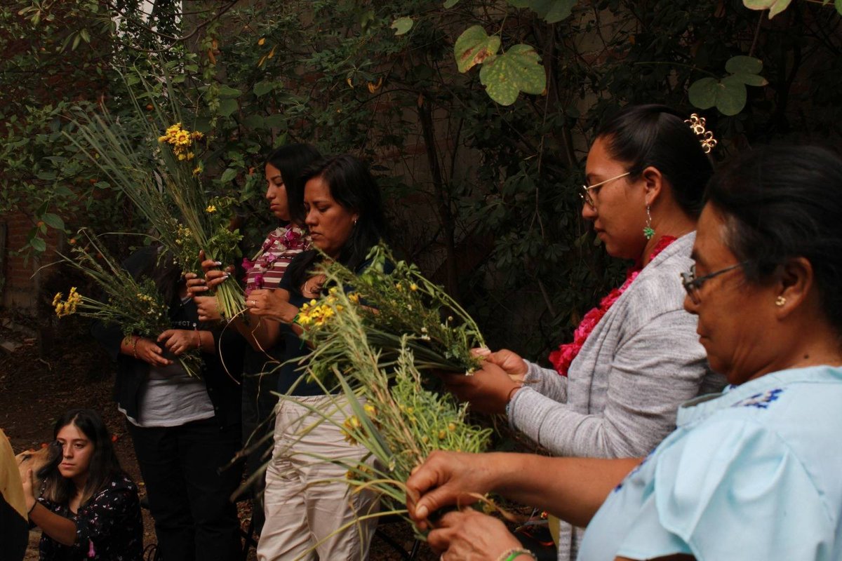 consorciooaxaca's tweet image. 🌿Consorcio Oaxaca, sigue #Construyendopaz. 

🟣Continuamos fortaleciendo tejidos de mujeres mediante los Círculos de Paz &quot;Recolectoras de sembranza”, proyectos impulsado por Consorcio Oaxaca y facilitado por la sanadora María M. Claire…