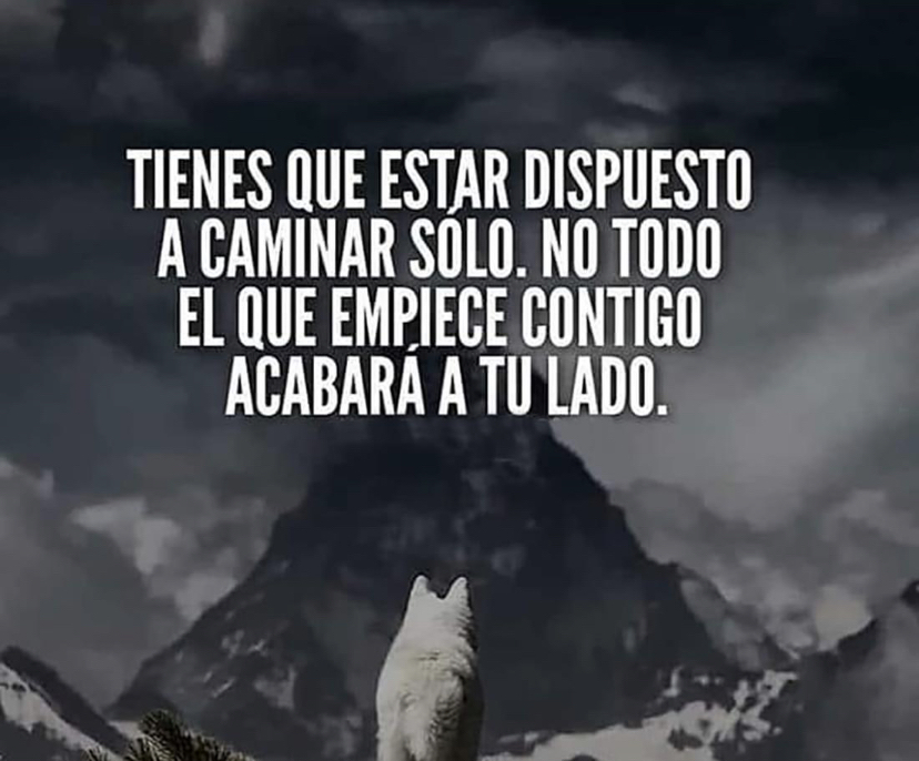 Paulo Coelho Español (@paulocoelhodice) on Twitter photo 