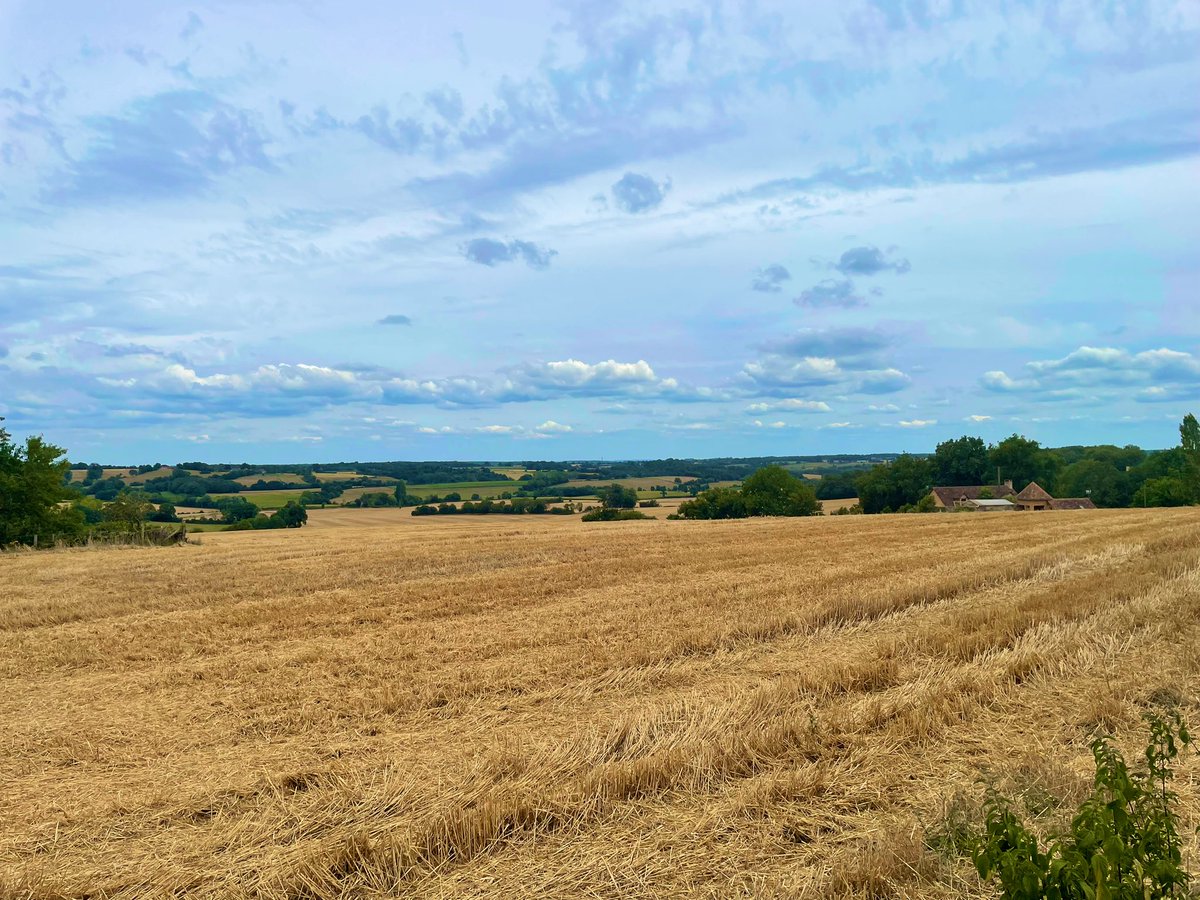 PaysduMans's tweet photo. L été en @paysdumans c’est profiter dans le calme de magnifiques paysages après la moisson 😍 #tourisme #nature #patrimoine ! #saintjulienlepauvre #bernayneuvyenchampagne #4cps #destinationcoco #slowtourisme #reconnexion #zen https://t.co/Sj4ZeTQZ1K