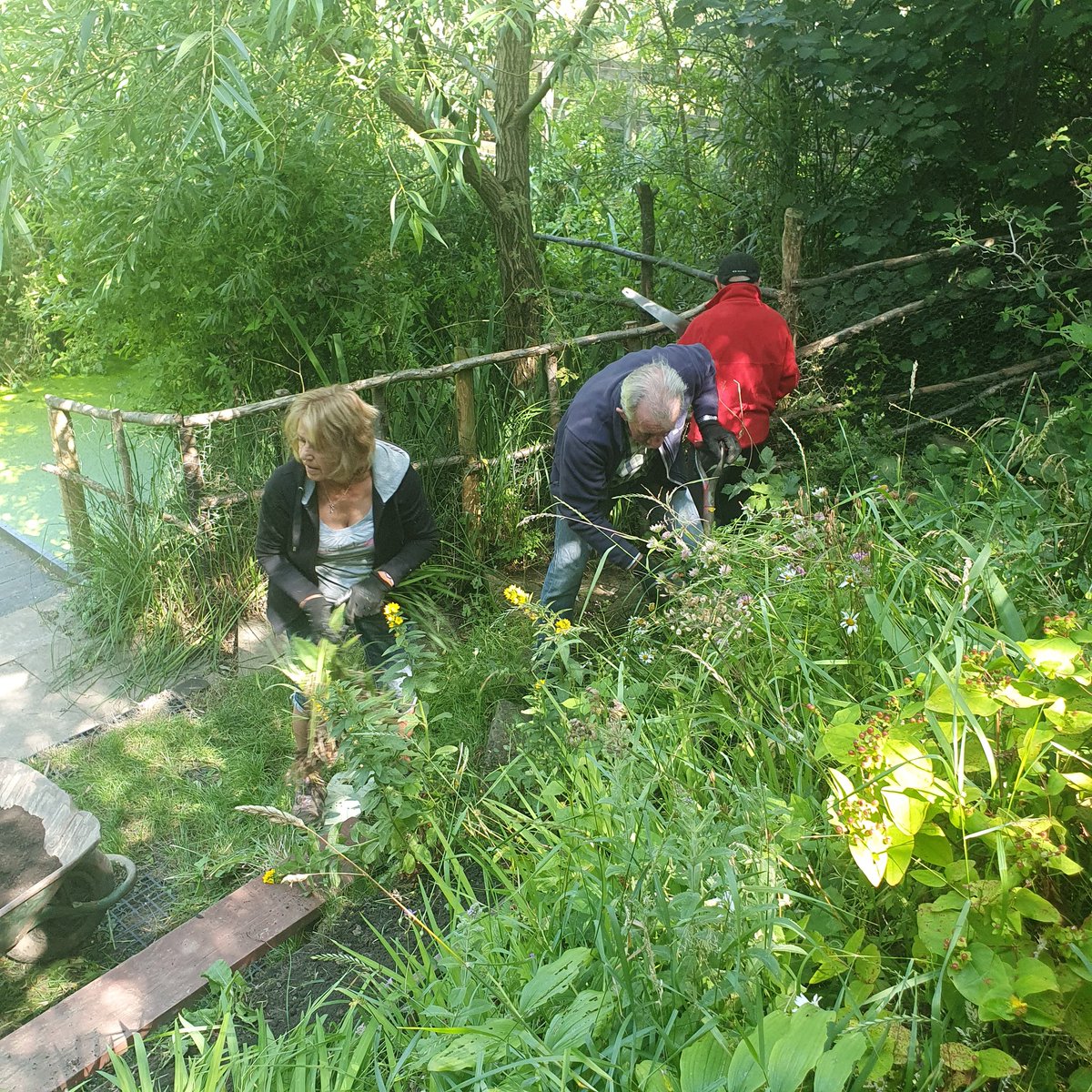 Chur Envi Volunteers tweet media