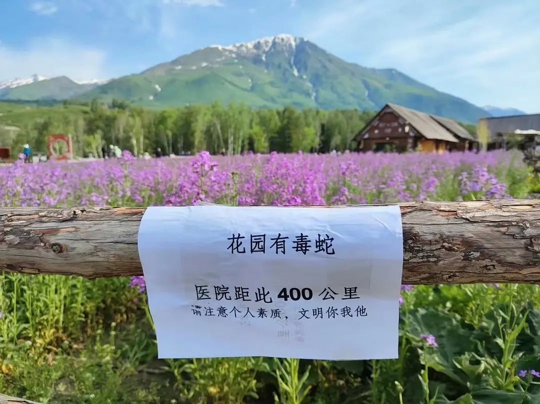 Escape from cīna🏃 tweet media