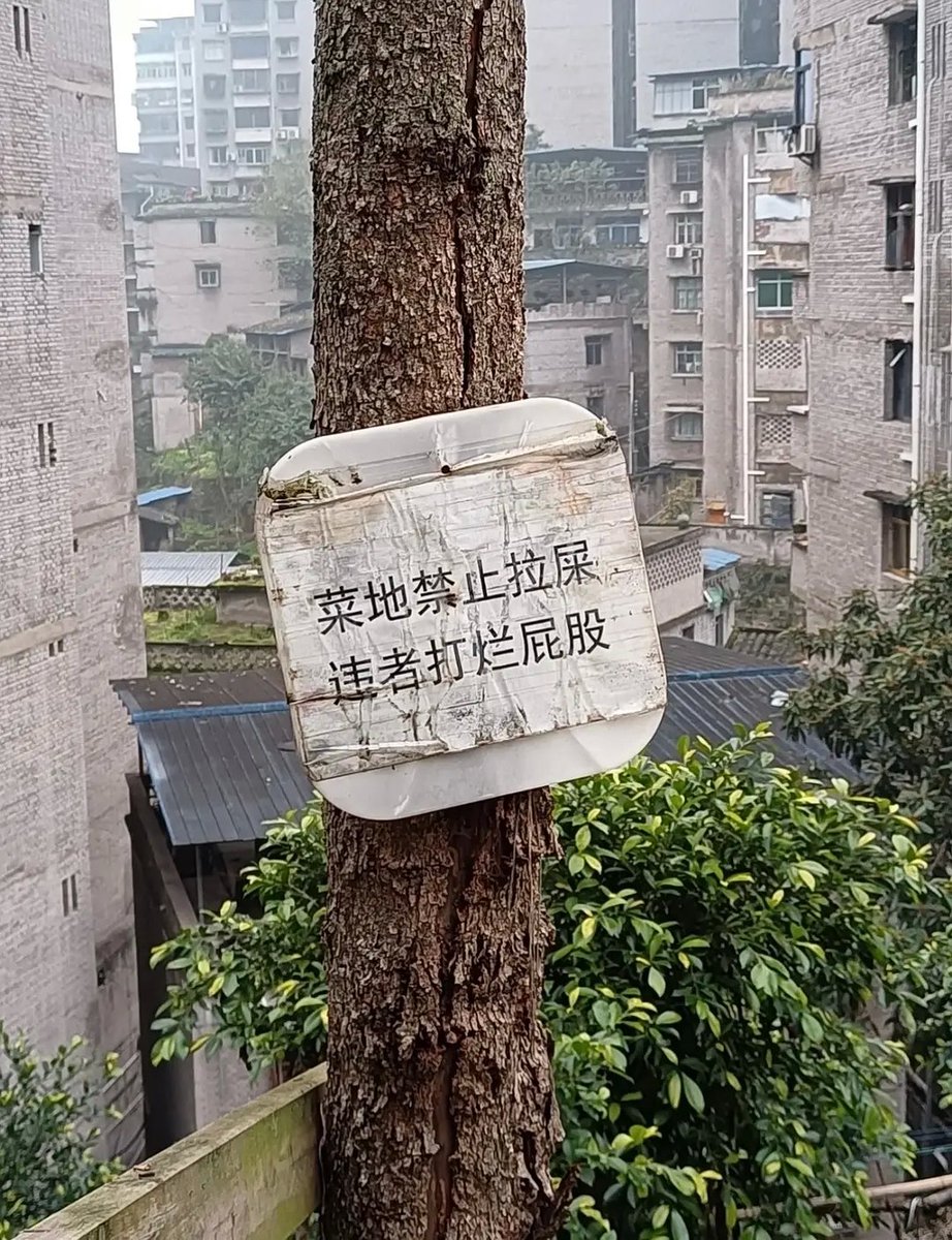 Escape from cīna🏃 tweet media