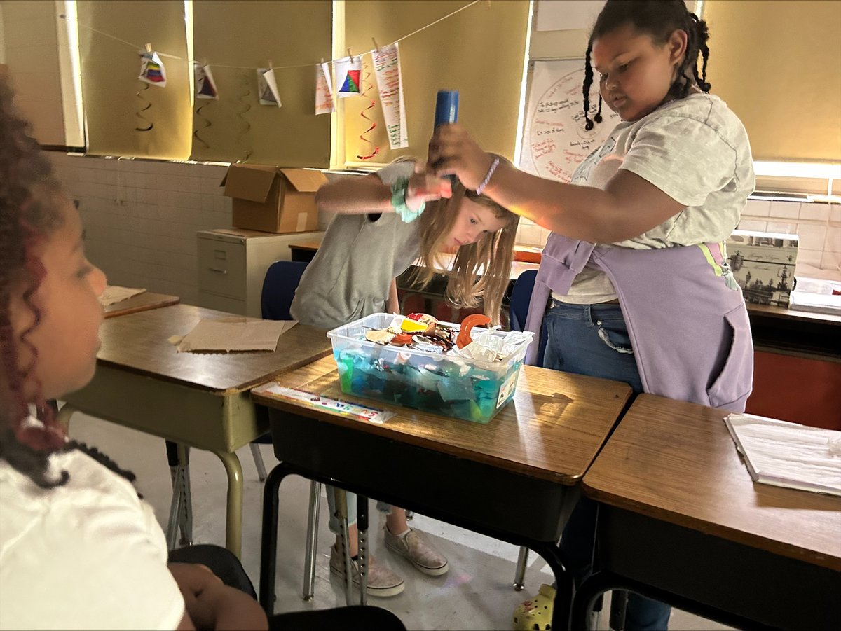 NNPS Elementary Curriculum & Development tweet media