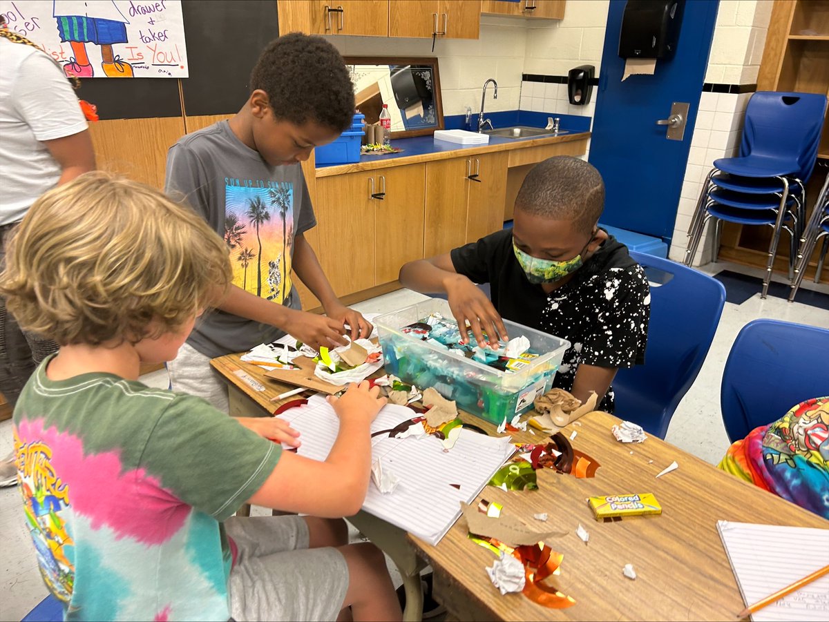NNPS Elementary Curriculum & Development tweet media