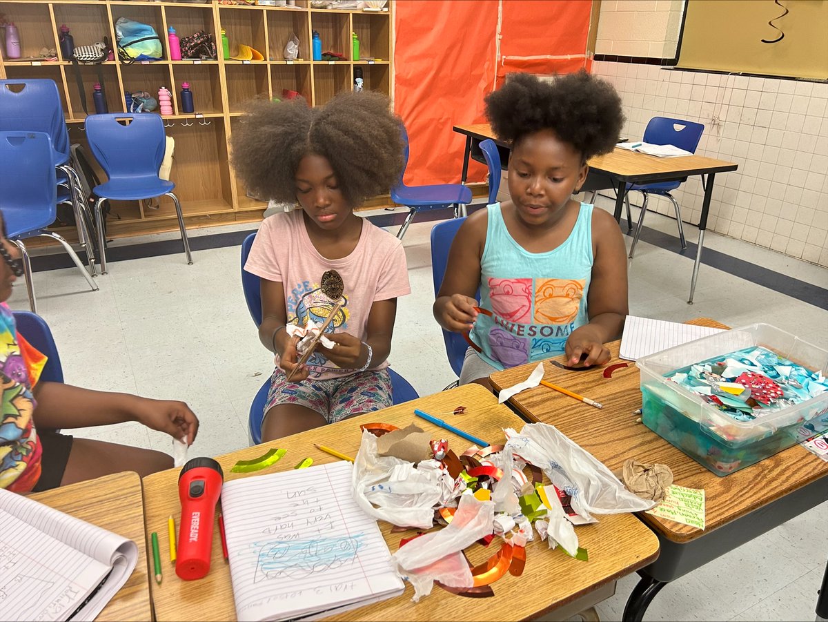 NNPS Elementary Curriculum & Development tweet media