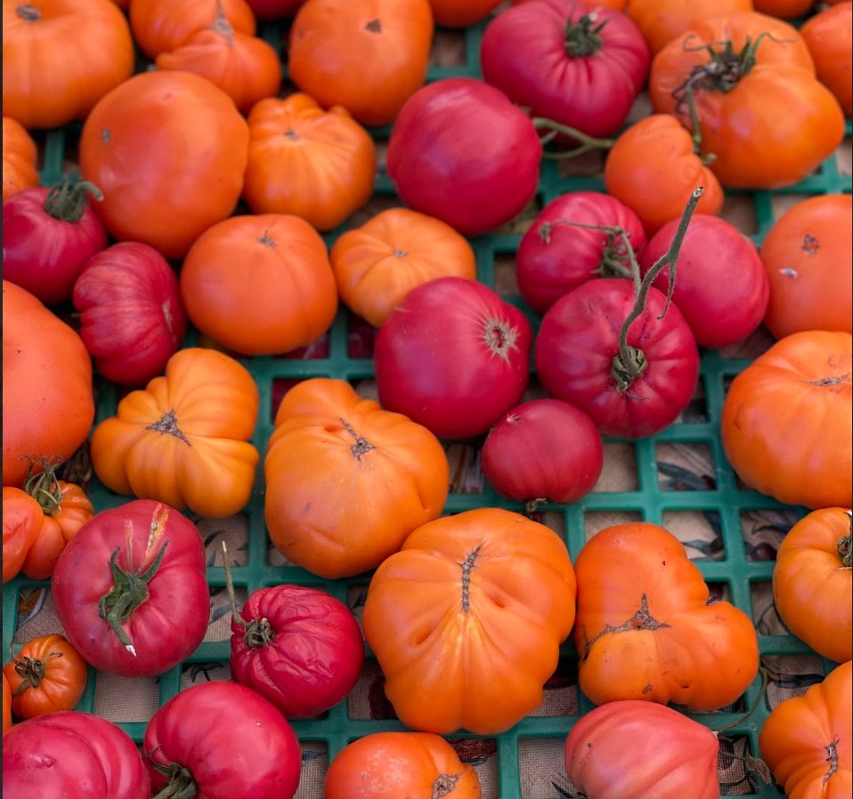 mailchi.mp/983eeb9ad982/p…