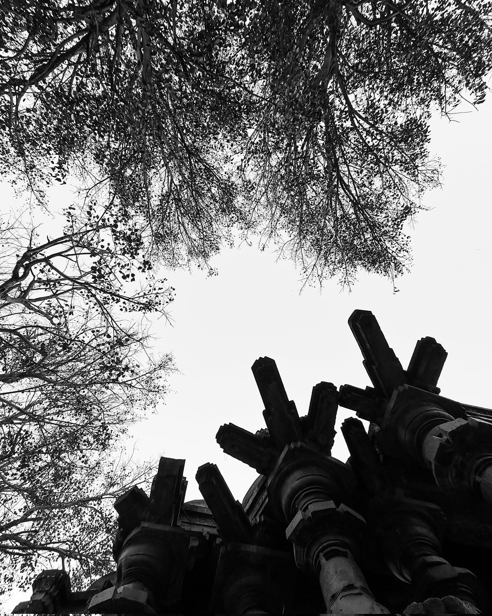 Adi_mane01's tweet photo. Going through my gallery I discovered so many flip moments around me, how about you? Share if you find too and #JoinTheFlipSide      
#SamsungUnpacked   
#UnfoldYourWorld #Samsung 
#SamsungMembers
#SamsungMembersStars
#IndiaJoinsTheFlipSide https://t.co/x4V9gkCW8h