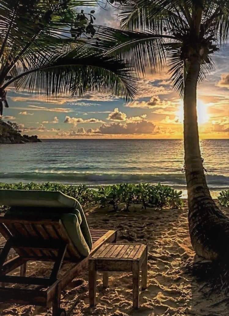 Jutta Streicher 🕊️ tweet media