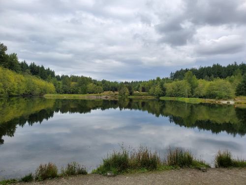 Sean Olliverr tweet media