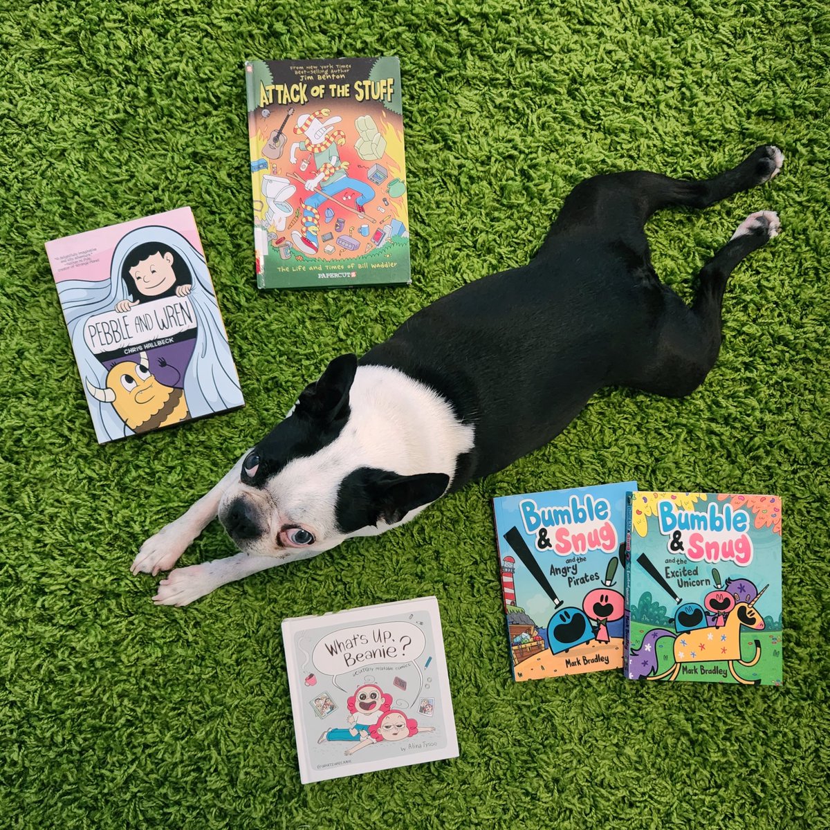 Litterbox Comics tweet media