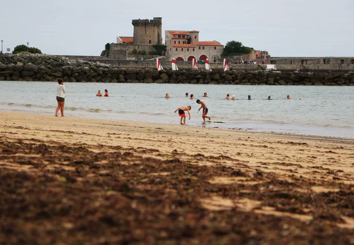 Mediabask info tweet media