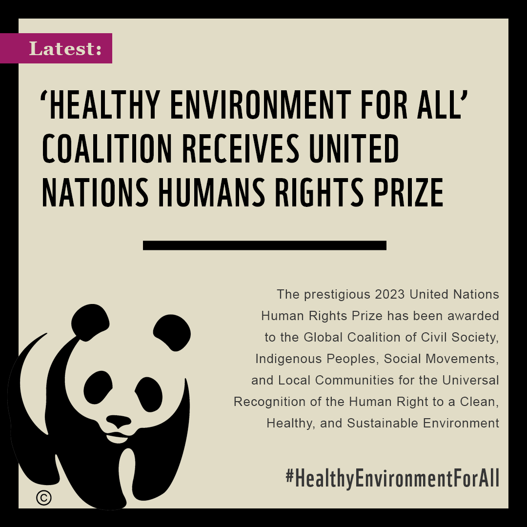 #BREAKING: The Global Coalition of Civil Society, Indigenous Peoples, Social Movements & Local Communities for the Universal Recognition of the Right to a #HealthyEnvironmentForAll has won the 2023 @UN #HumanRights Prize.

💥This is real #PeoplePower💥

👉 wwf.panda.org/?9348466/Globa…