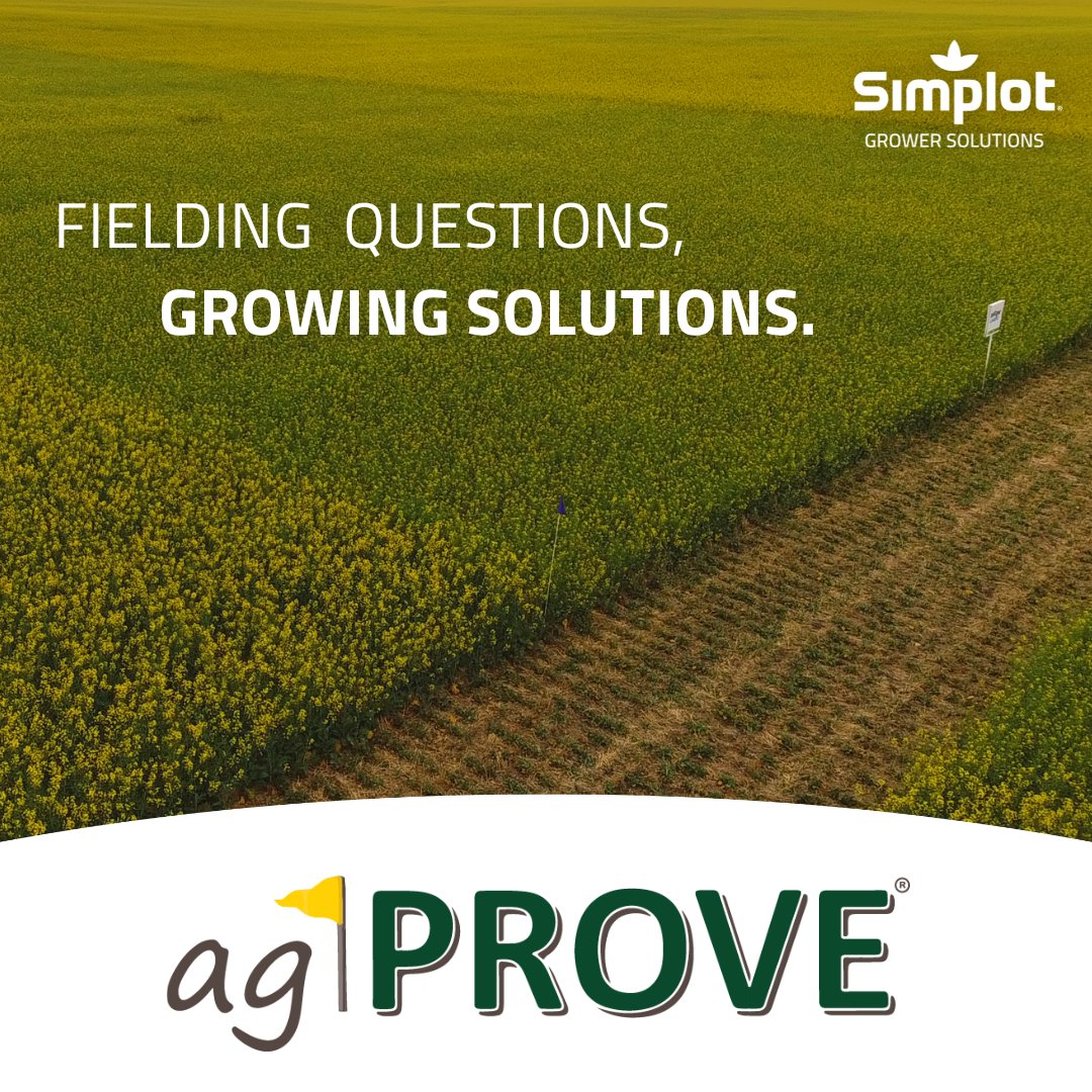 Join us for our upcoming Canola Showcase Plot Tours held across the region as part of our agPROVE trial program.

Meadow Lake: July 21 | Meota: July 26 | Spiritwood: July 28
Kindersley: August 3 | Medstead: August 16

We are looking forward to seeing you there!