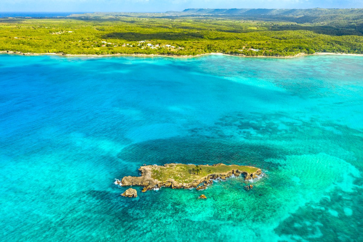 La beauté simple de l'Îlet du Vieux-Fort à #mariegalante : un palmier solitaire sur fond d'eau turquoise et une plage sereine. Un tableau de nature à couper le souffle, vous ne pensez pas ? 🌴🌊 #ÎletDuVieuxFort