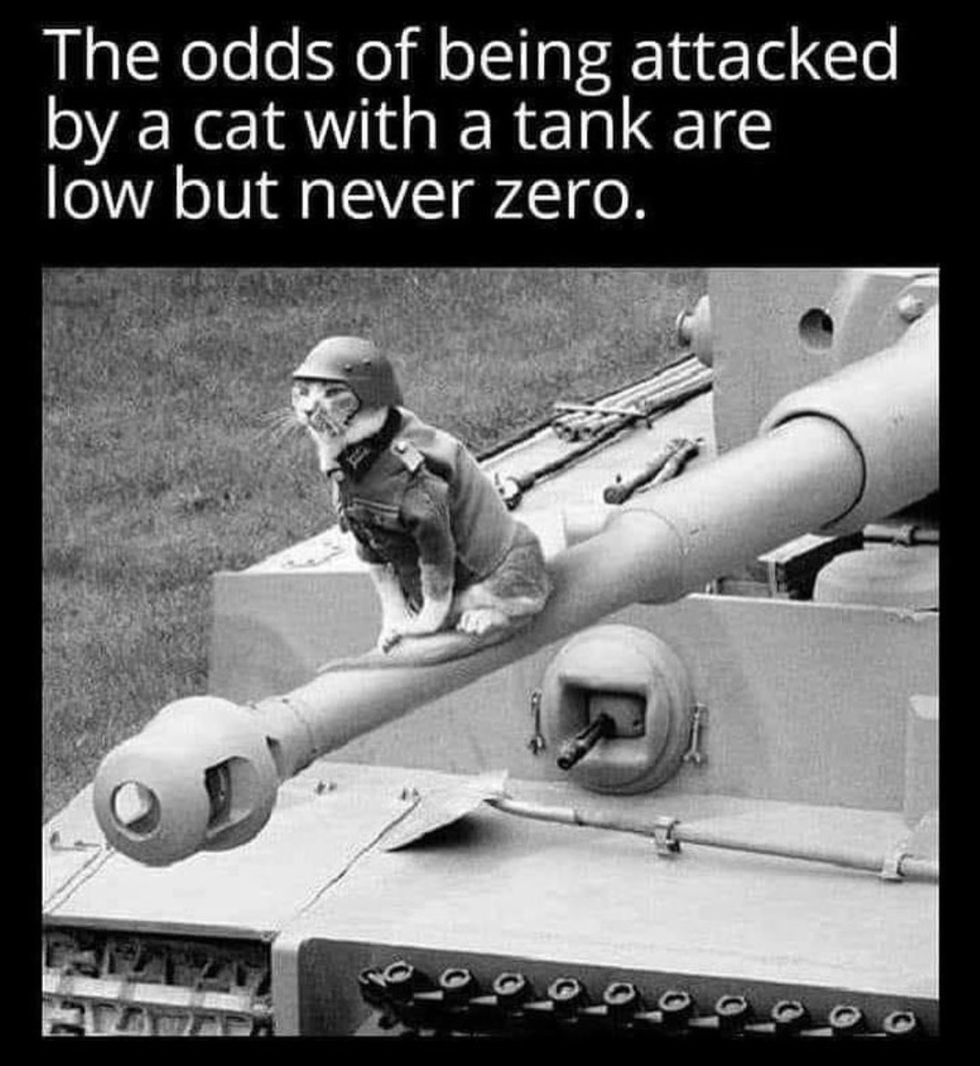Coyotl2021's tweet photo. @SecretSunBlog #NeverZero https://t.co/ccHuAe57UP