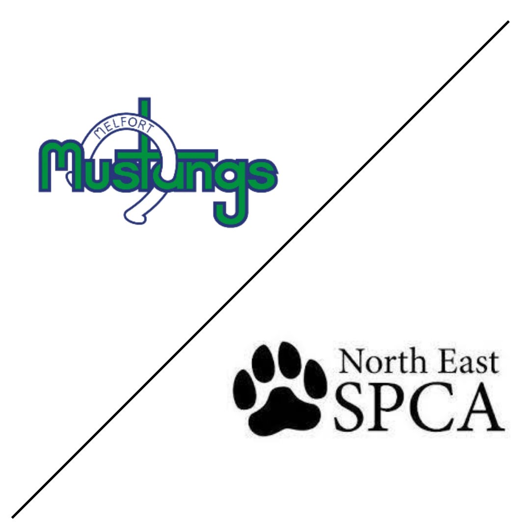 Melfort Mustangs (@sjhl_mustangs) on Twitter photo It's one of the best weekends of the summer! It's Melfort Fair weekend!
Head on down to the Beer Gardens Friday (4p.m.-2a.m.) & Saturday (2p.m.-2a.m.) and support the Mustangs along with the North East SPCA!
Valid ID REQUIRED! It's one of the best weekends of the summer! It's Melfort Fair weekend!
Head on down to the Beer Gardens Friday (4p.m.-2a.m.) & Saturday (2p.m.-2a.m.) and support the Mustangs along with the North East SPCA!
Valid ID REQUIRED!