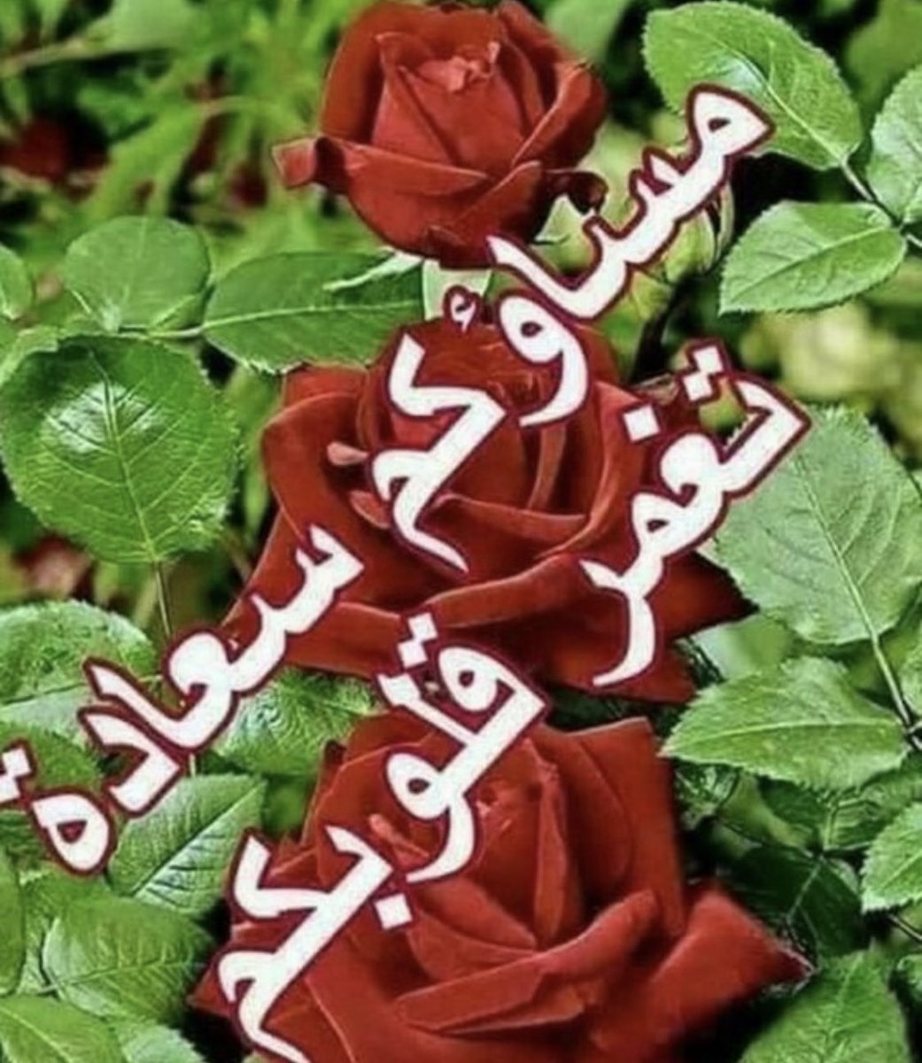 احمد محمد حسان (@n0hwswxxxpqigcw) on Twitter photo 