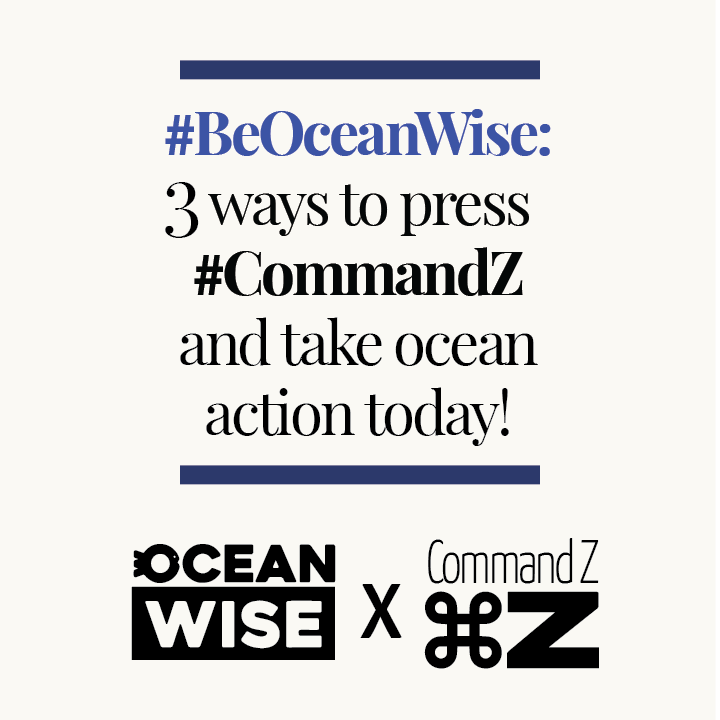 Command Z tweet media